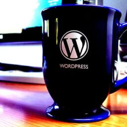 WordPress Developer Interview Questions: What to Ask and What to Expect (2026 Guide)