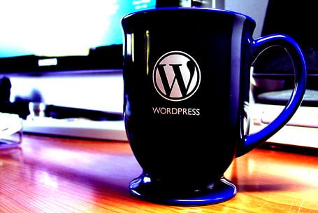WordPress Developer Interview Questions: What to Ask and What to Expect (2026 Guide)