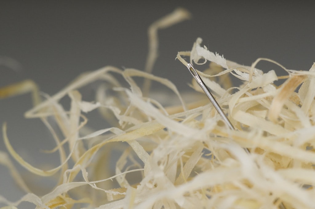 Finding the right wordpress developer as a needle in the hay