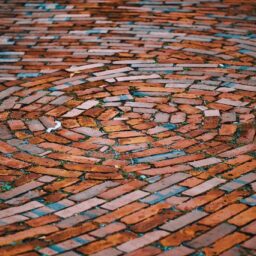 Preparing a WordPress Store for Agentic Commerce