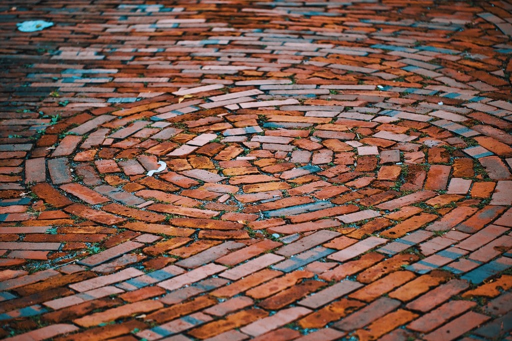 Preparing a WordPress Store for Agentic Commerce