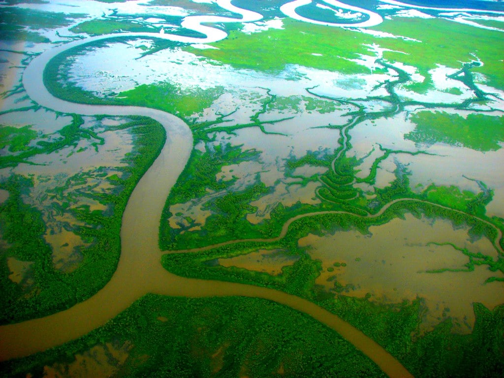 From SEO to GEO: Preparing Your WordPress E-commerce Site for AI-Driven Search